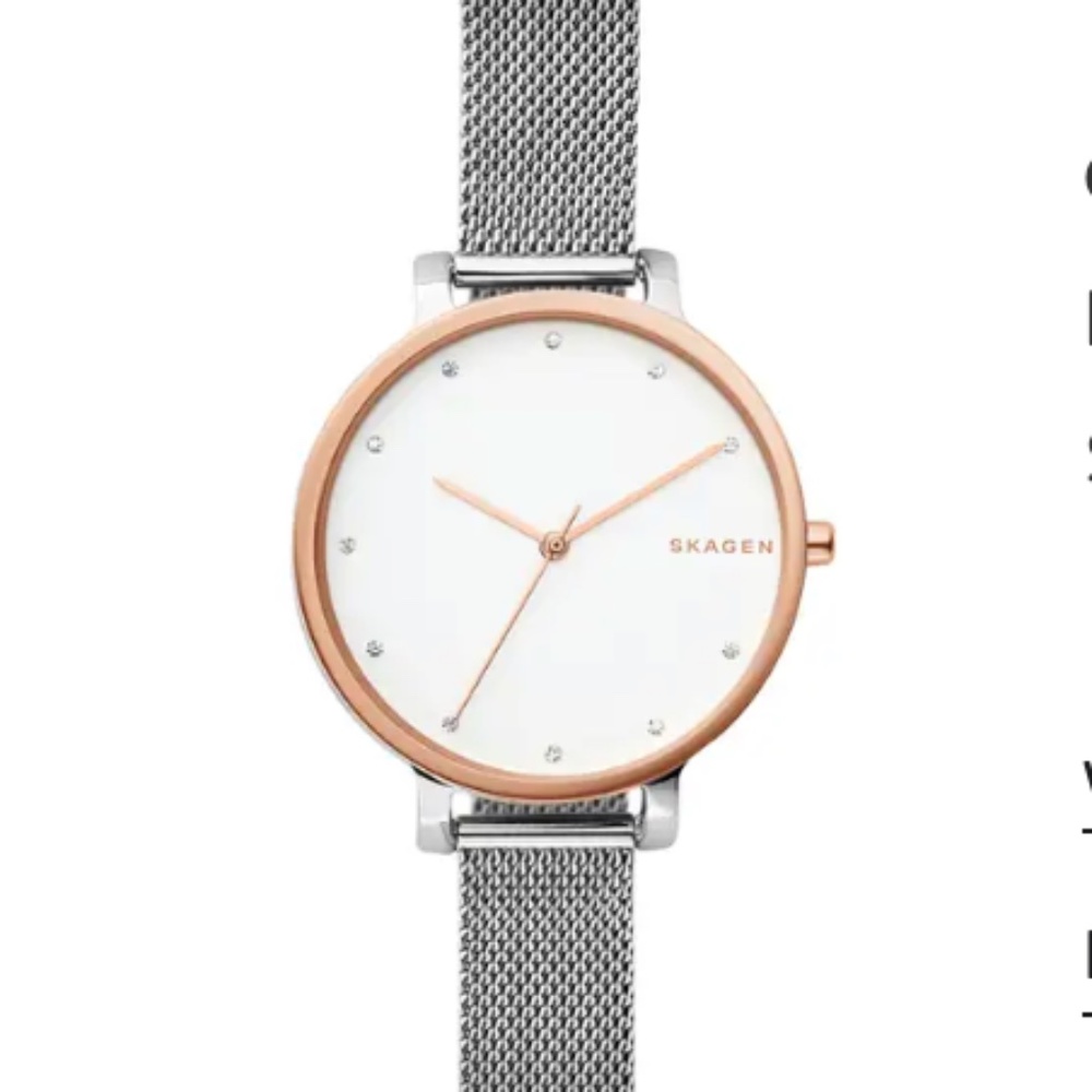 Skagen Hagen Watch, silver